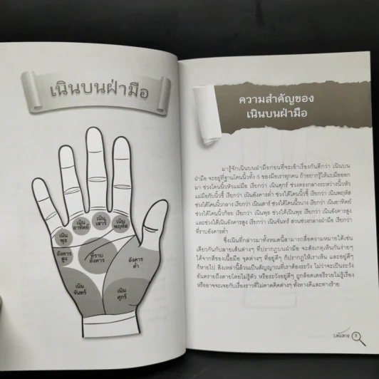 ชี้ชะตาชีวิตจากลายมือ - ว.พันลาย รูปที่ 10