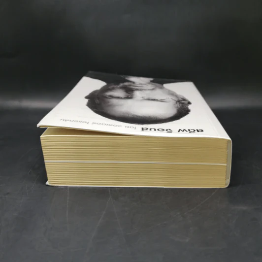 Steve Jobs สตีฟ จ็อบส์ (ปกอ่อน) - วอลเตอร์ ไอแซคสัน รูปที่ 6