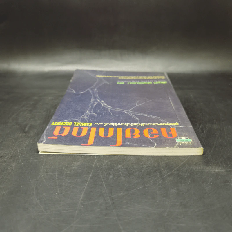 คอยโกโดต์ Waiting for Godot - Samuel Beckett, เพ็ญศรี เผ่าเหลืองทอง รูปที่ 5