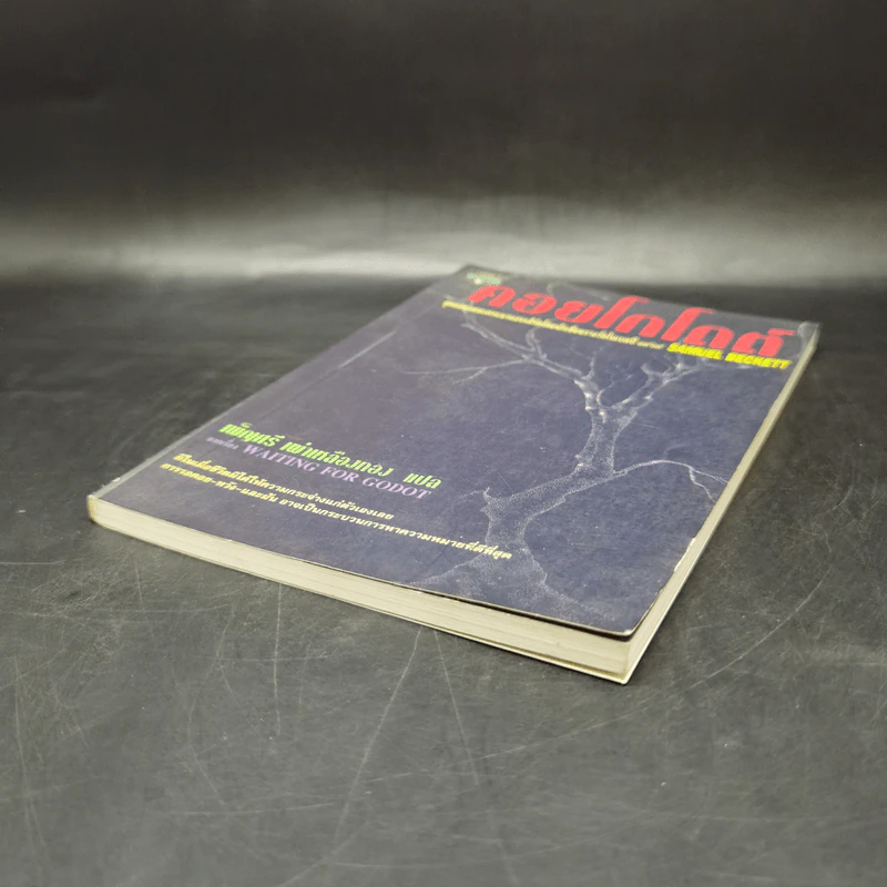 คอยโกโดต์ Waiting for Godot - Samuel Beckett, เพ็ญศรี เผ่าเหลืองทอง รูปที่ 6