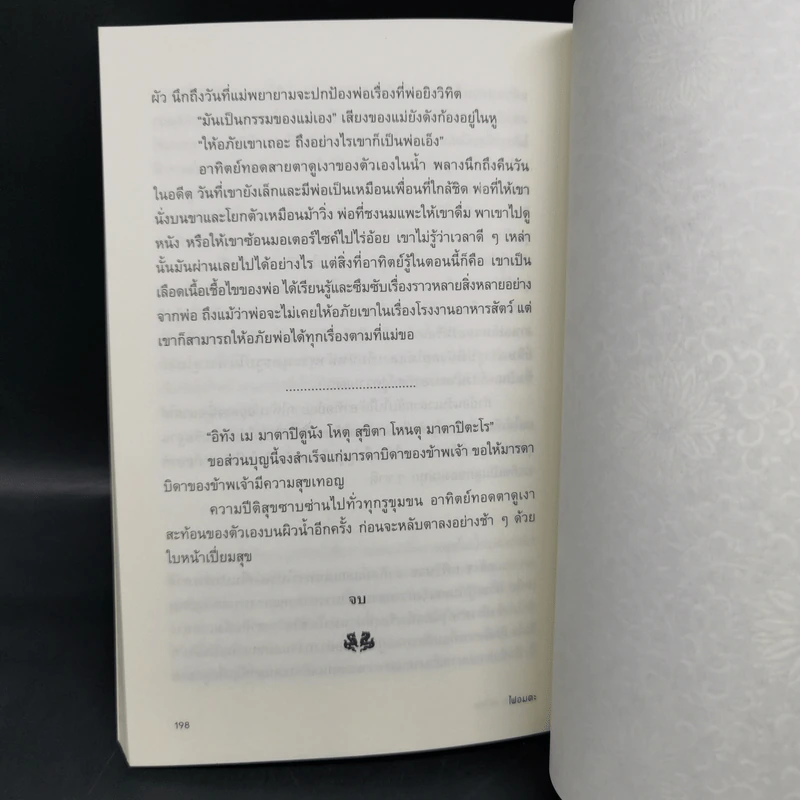 ไฟอมตะ - วิกรม กรมดิษฐ์ รูปที่ 14