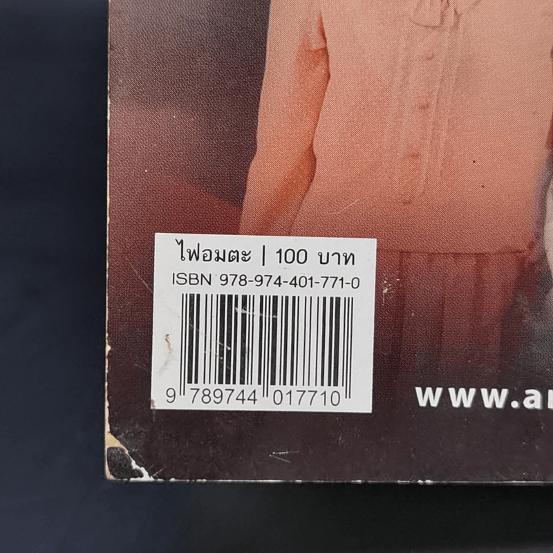 ไฟอมตะ - วิกรม กรมดิษฐ์ รูปที่ 15