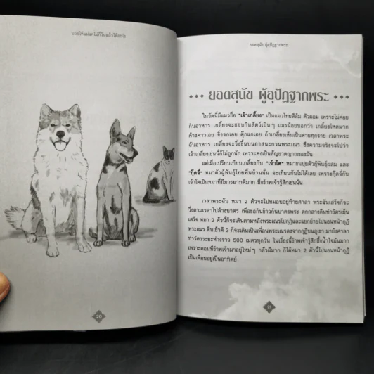 บวชให้แม่แค่ไม่กี่วันแล้วได้อะไร - ดร.ศักดิภัทร พวงคต รูปที่ 13