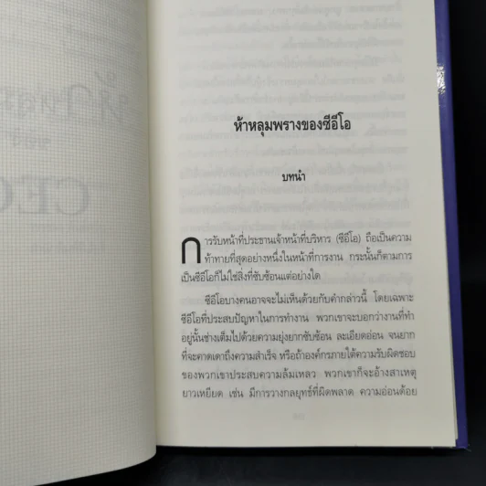 ห้าหลุมพรางของ CEO - แพทริก เลนซีโอนี่ รูปที่ 10
