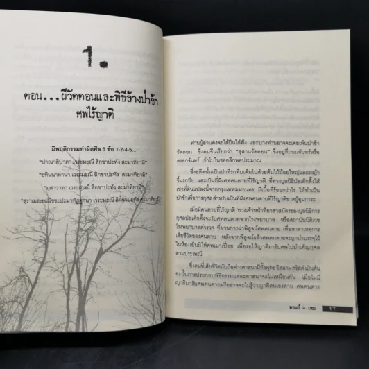 ตายแล้วฟื้น ภพสวรรค์ นรก และภพใต้บาดาล ตามตำนานพุทธศาสนา - ดามภ์-เหม รูปที่ 10