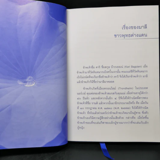 สู่ทางพ้นทุกข์ เรื่องของมาลี ชาวพุทธต่างแดน + จิตที่พ้นจากทุกข์ รูปที่ 12