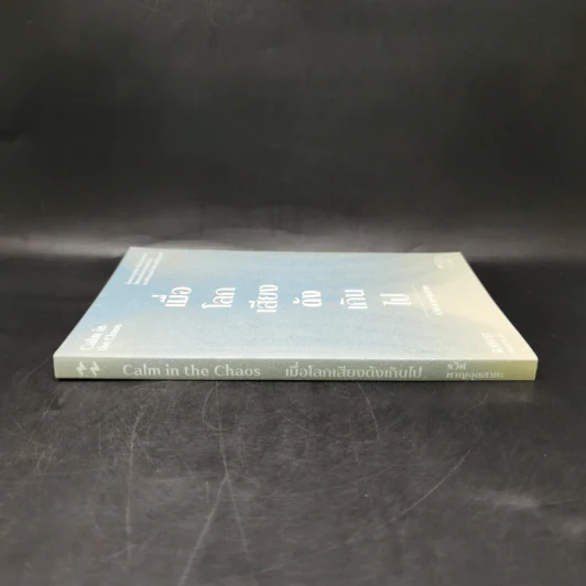 เมื่อโลกเสียงดังเกินไป Calm in the Chaos - รวิศ หาญอุตสาหะ รูปที่ 3