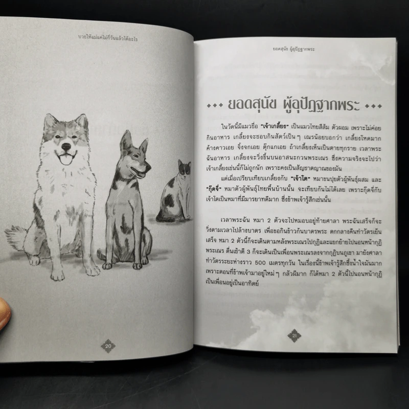 บวชให้แม่แค่ไม่กี่วันแล้วได้อะไร - ดร.ศักดิภัทร พวงคต รูปที่ 13