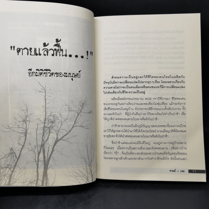 ตายแล้วฟื้น ภพสวรรค์ นรก และภพใต้บาดาล ตามตำนานพุทธศาสนา - ดามภ์-เหม รูปที่ 9