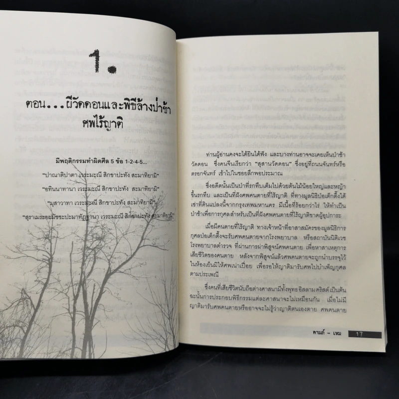ตายแล้วฟื้น ภพสวรรค์ นรก และภพใต้บาดาล ตามตำนานพุทธศาสนา - ดามภ์-เหม รูปที่ 10