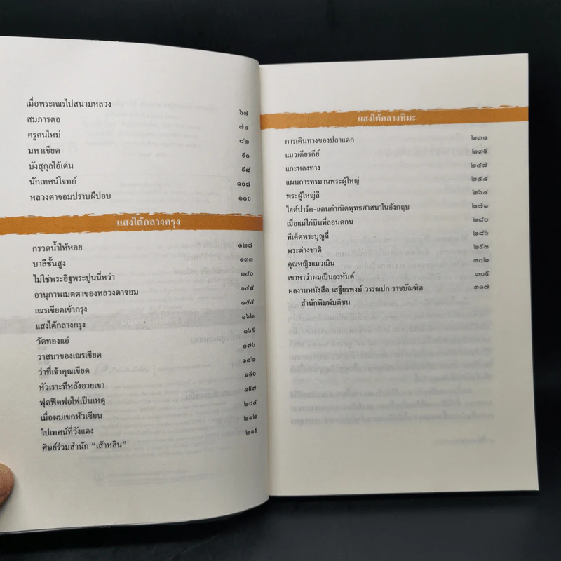 สองทศวรรษในดงขมิ้น - ไต้ ตามทาง (เสฐียรพงษ์ วรรณปก) รูปที่ 10