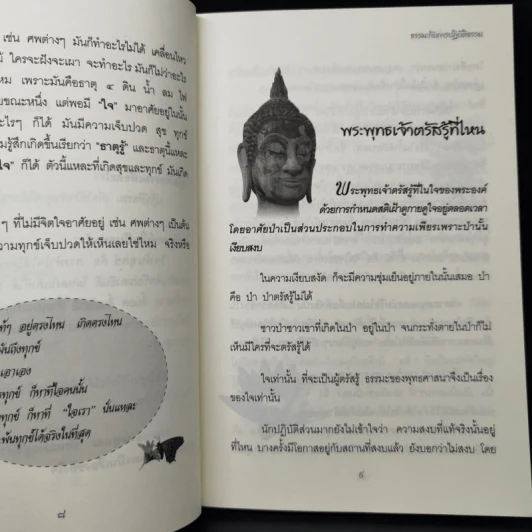 ธรรมะกับการปฏิบัติธรรม รูปที่ 11
