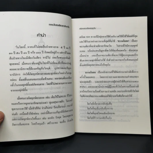 ธรรมโอสถเยียวยารักษาใจ - พ่อหลวงจิตตคุรุวัน รูปที่ 10