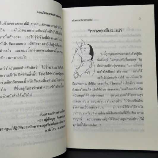 ธรรมโอสถเยียวยารักษาใจ - พ่อหลวงจิตตคุรุวัน รูปที่ 11