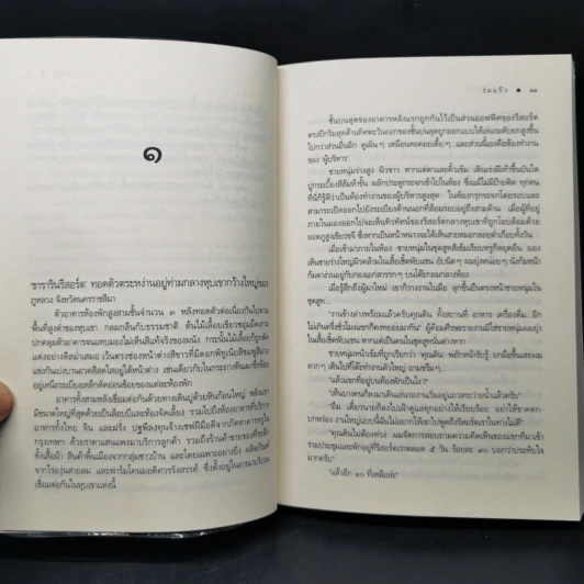 นิยายชุด บ้านไร่ปลายฝัน 4 เล่ม ได้แก่ ธาราหิมาลัย, ดวงใจอัคนี, ปฐพีเล่ห์รัก, วายุภัคมนตรา รูปที่ 14
