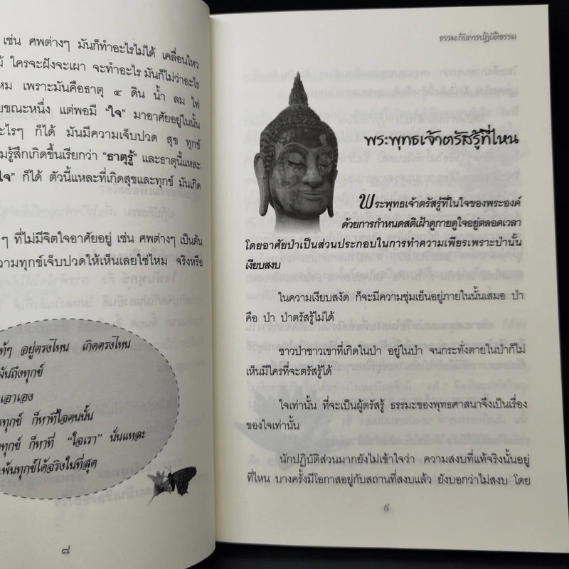 ธรรมะกับการปฏิบัติธรรม รูปที่ 11