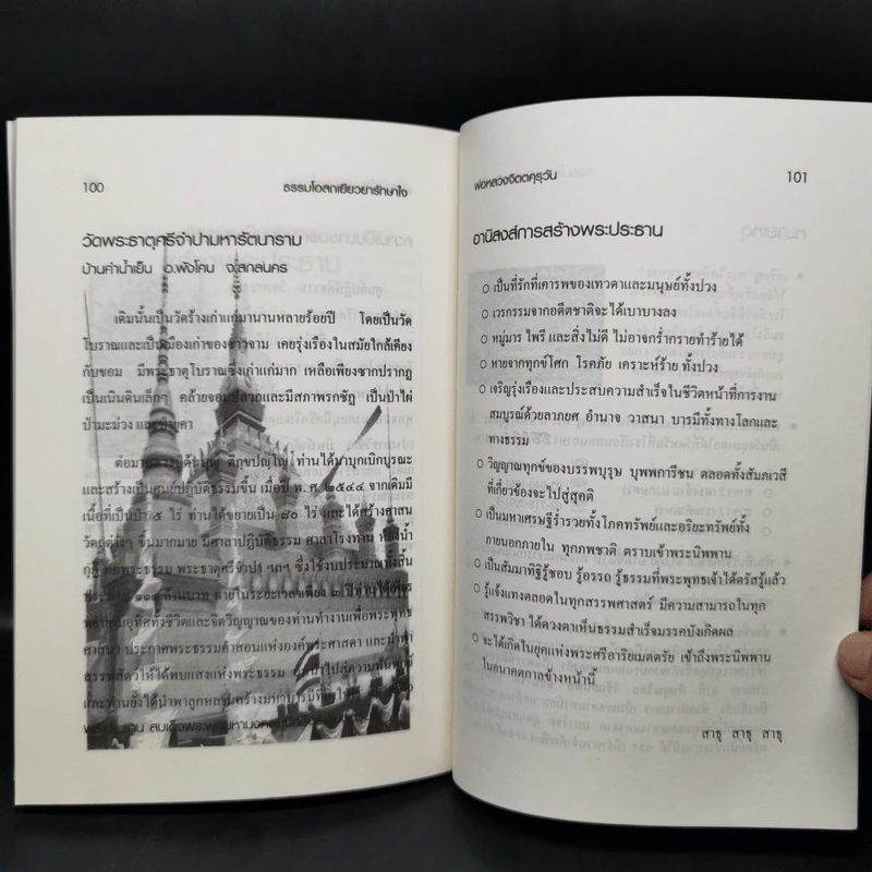 ธรรมโอสถเยียวยารักษาใจ - พ่อหลวงจิตตคุรุวัน รูปที่ 12