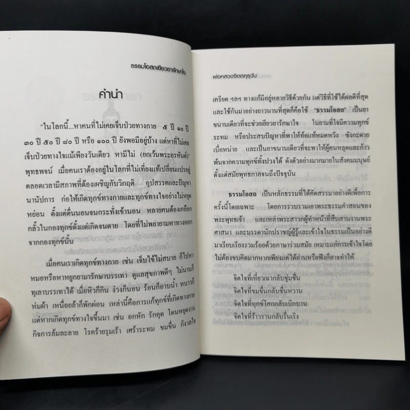 ธรรมโอสถเยียวยารักษาใจ - พ่อหลวงจิตตคุรุวัน รูปที่ 10