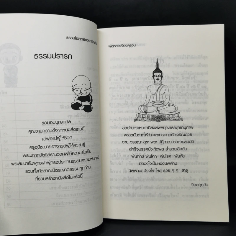 ธรรมโอสถเยียวยารักษาใจ - พ่อหลวงจิตตคุรุวัน รูปที่ 9