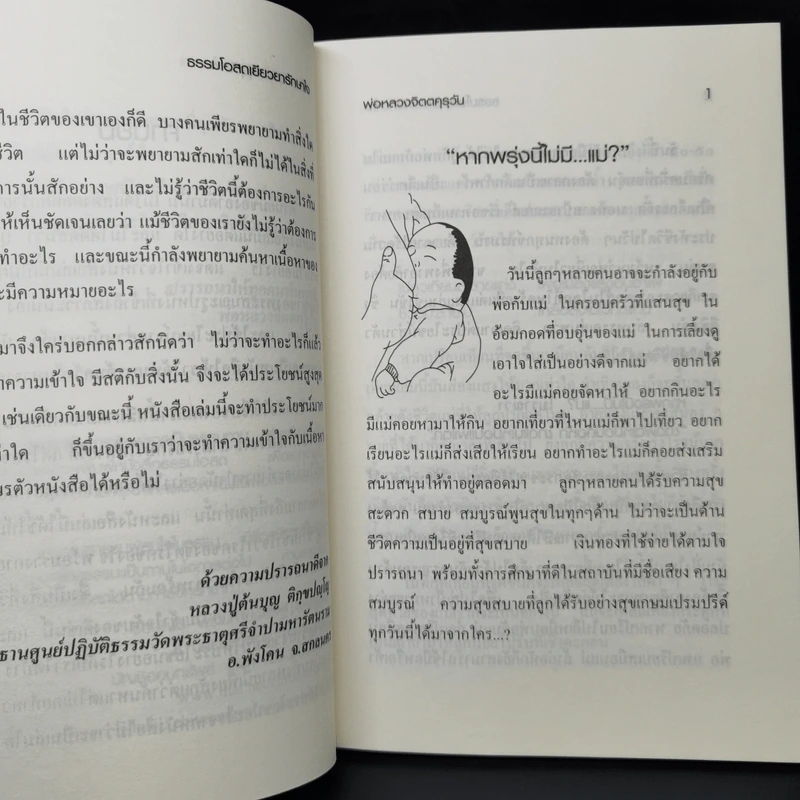 ธรรมโอสถเยียวยารักษาใจ - พ่อหลวงจิตตคุรุวัน รูปที่ 11