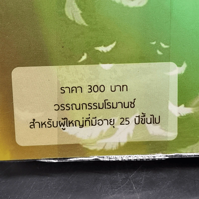 แม่สื่อแสนรัก - พันดารา รูปที่ 11
