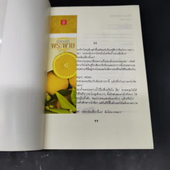 ต้องมนตร์พระพาย - Andra รูปที่ 8