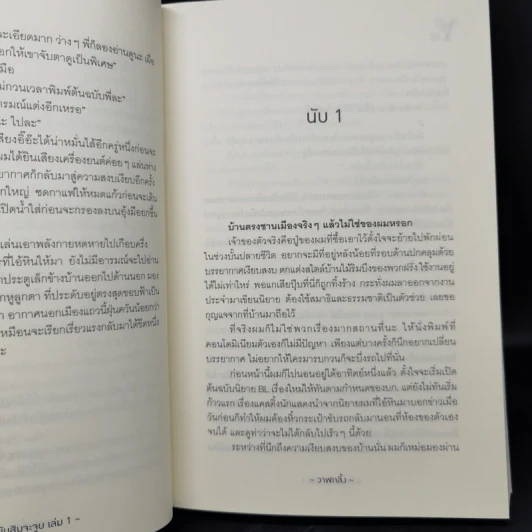 นิยายวาย นับสิบจะจูบ 2 เล่มจบ - วาฬกลิ้ง รูปที่ 11