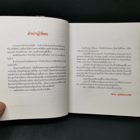 Cat Study วิชาแนะแมว - ทีปกร วุฒิพิทยามงคล รูปที่ 8