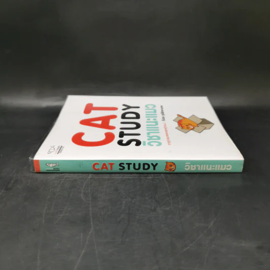 Cat Study วิชาแนะแมว - ทีปกร วุฒิพิทยามงคล รูปที่ 3