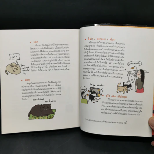 Cat Study วิชาแนะแมว - ทีปกร วุฒิพิทยามงคล รูปที่ 11