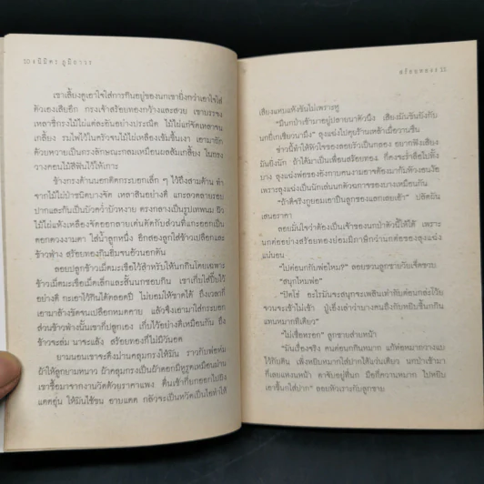 สร้อยทอง - นิมิตร ภูมิถาวร รูปที่ 10