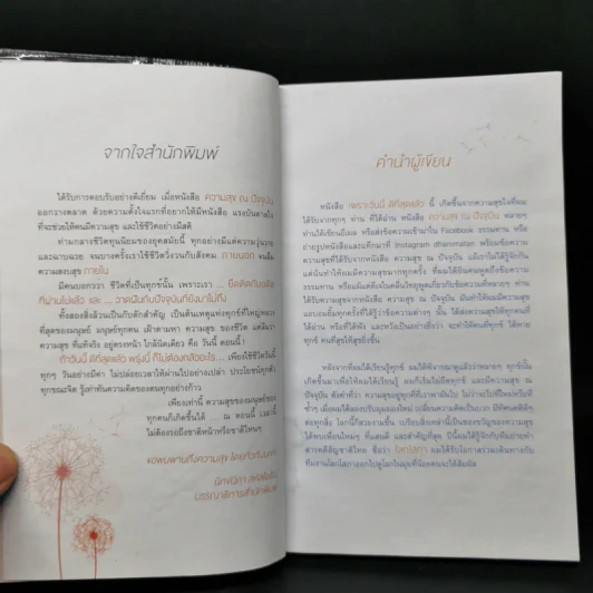 เพราะวันนี้ดีที่สุดแล้ว - ยอดภักดี รูปที่ 8