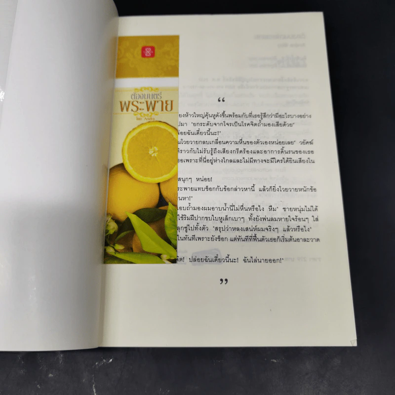 ต้องมนตร์พระพาย - Andra รูปที่ 8