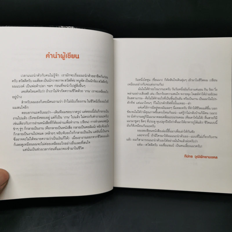 Cat Study วิชาแนะแมว - ทีปกร วุฒิพิทยามงคล รูปที่ 8