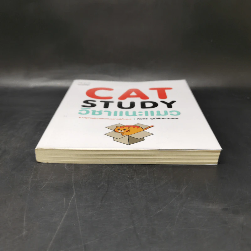 Cat Study วิชาแนะแมว - ทีปกร วุฒิพิทยามงคล รูปที่ 4