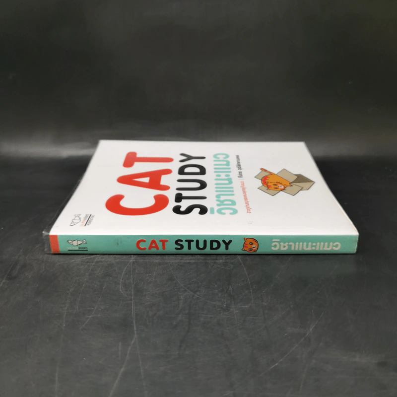 Cat Study วิชาแนะแมว - ทีปกร วุฒิพิทยามงคล รูปที่ 3