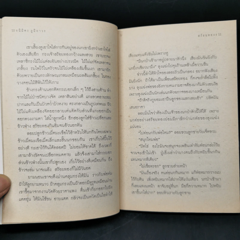 สร้อยทอง - นิมิตร ภูมิถาวร รูปที่ 10