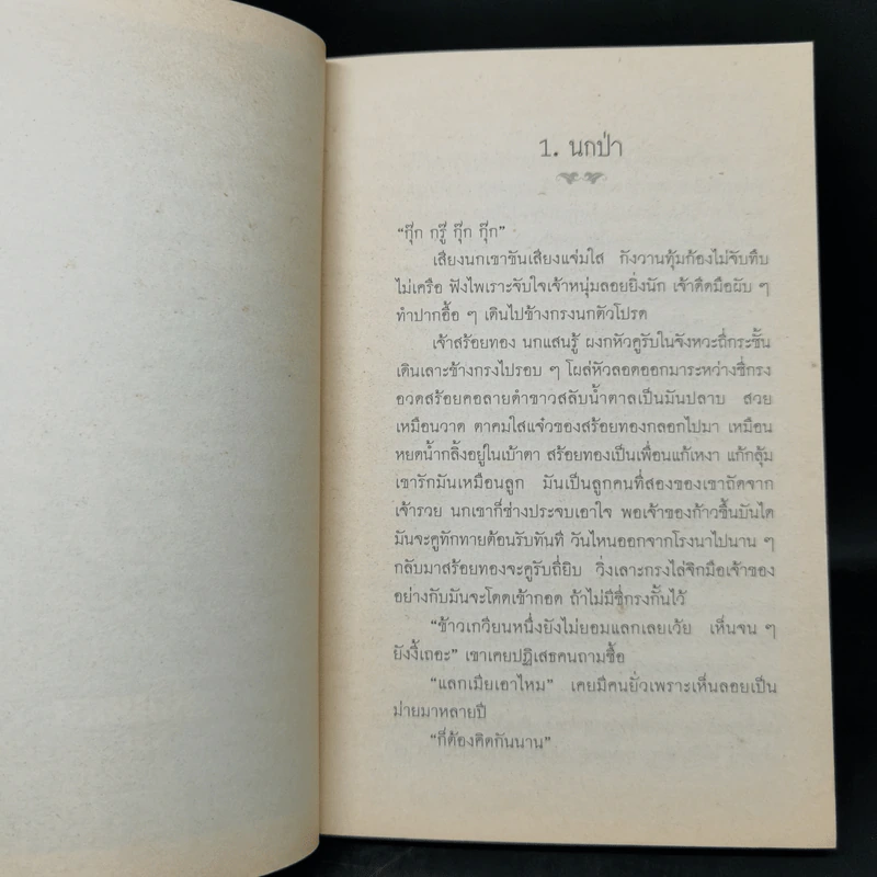 สร้อยทอง - นิมิตร ภูมิถาวร รูปที่ 9