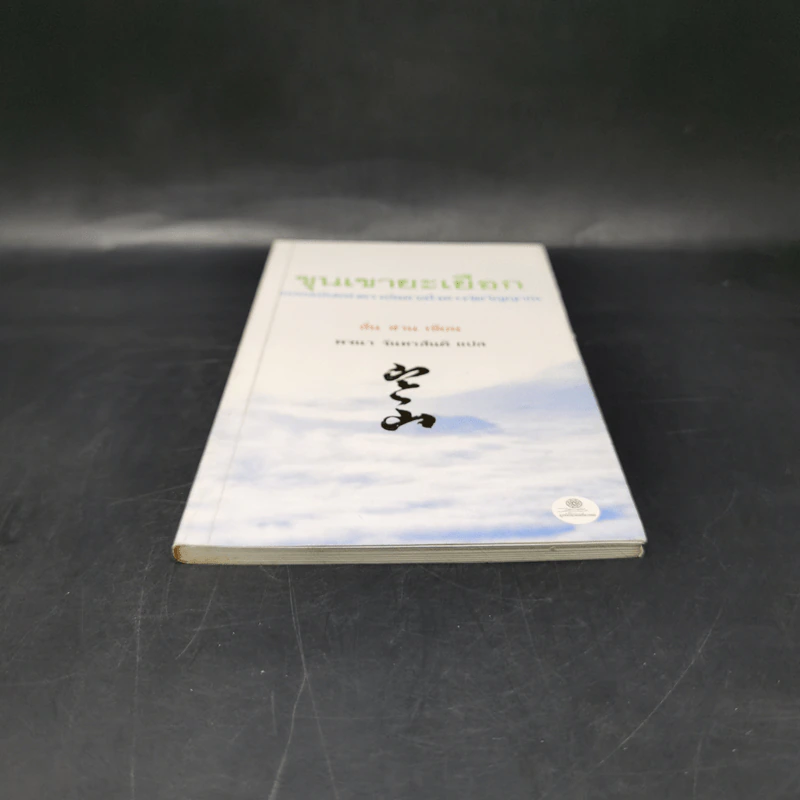 ขุนเขายะเยือก แบบฉบับแห่งแรงบันดาลใจทางจิตวิญญาณ - ฮั่น ชาน รูปที่ 4