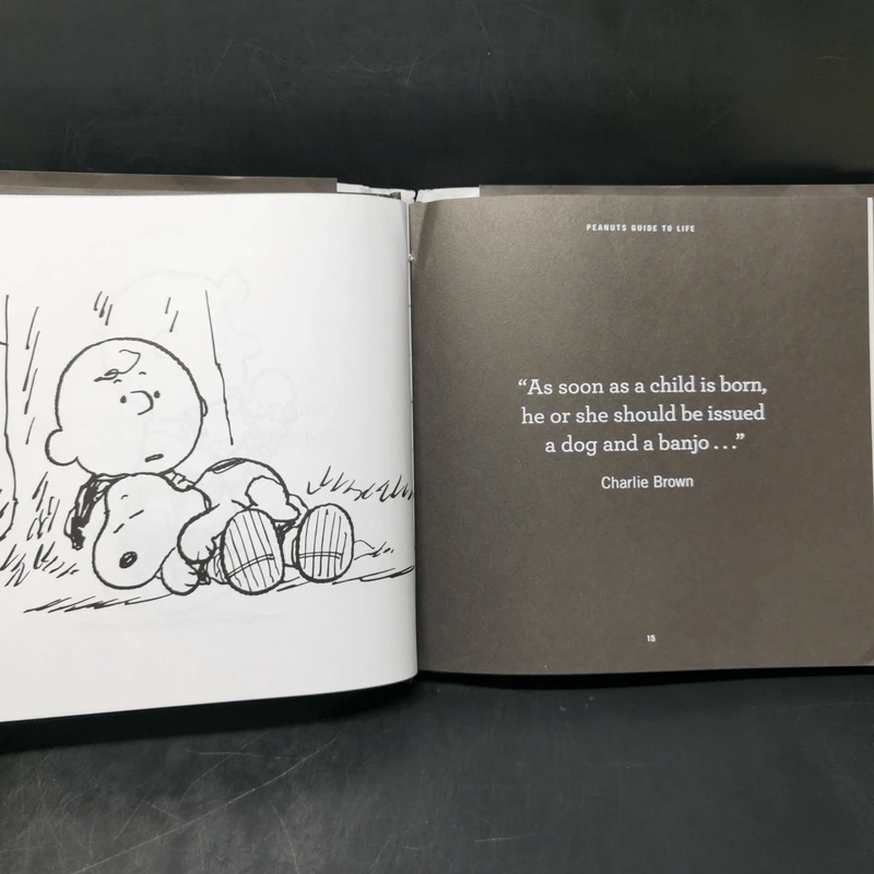 Peanuts Guide to Life - Charles M. Schulz รูปที่ 8