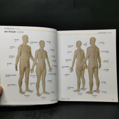 Bilingual Visual Dictionary German English รูปที่ 11