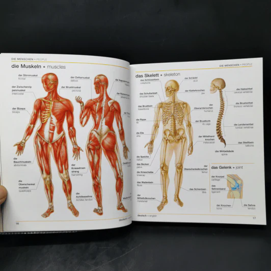 Bilingual Visual Dictionary German English รูปที่ 13