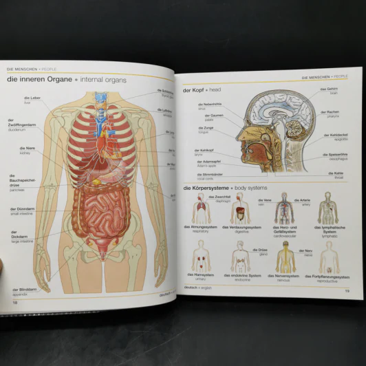 Bilingual Visual Dictionary German English รูปที่ 14