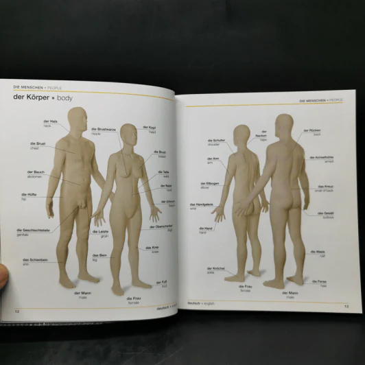 Bilingual Visual Dictionary German English รูปที่ 11