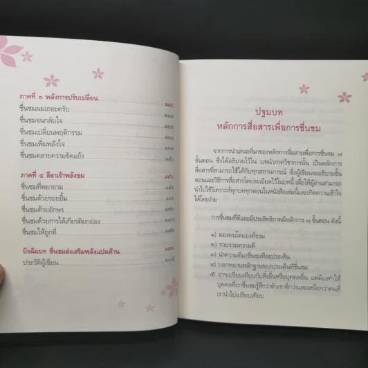พลังการชื่นชม - วุฒิพงศ์ ถายะพิงค์ รูปที่ 11