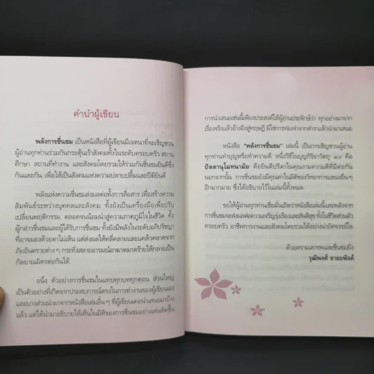 พลังการชื่นชม - วุฒิพงศ์ ถายะพิงค์ รูปที่ 9
