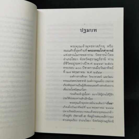 เทวดา คน พระ หมู หมา กา ไก่ ในสวนโมกข์ฯ - พจน์ ยังพลขันธ์ รูปที่ 10