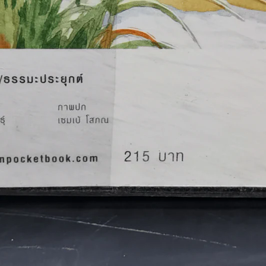 เทวดา คน พระ หมู หมา กา ไก่ ในสวนโมกข์ฯ - พจน์ ยังพลขันธ์ รูปที่ 13