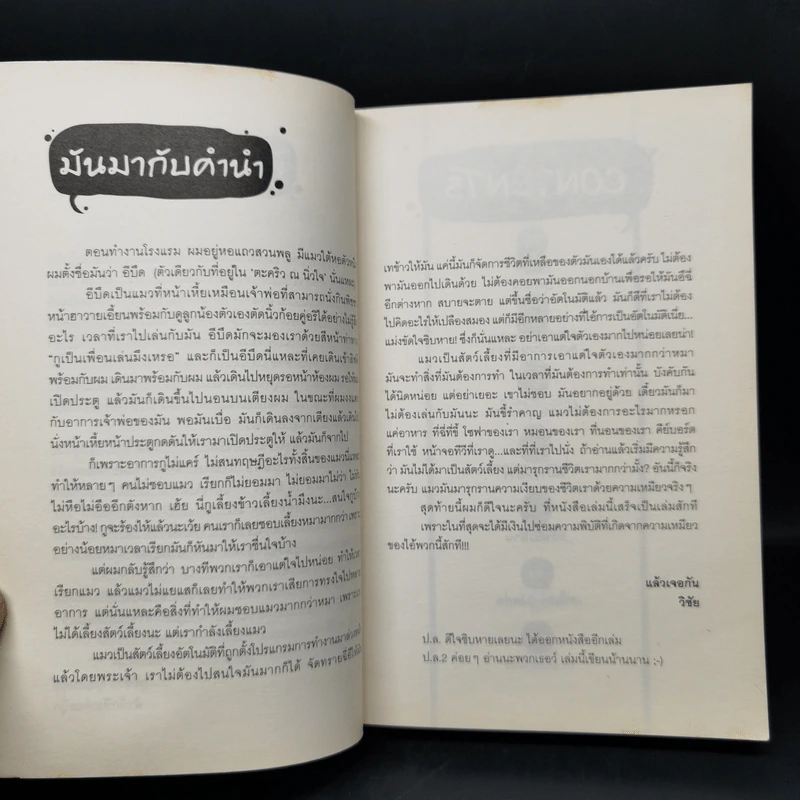 มันมากับความเหมียว - วิชัย รูปที่ 8