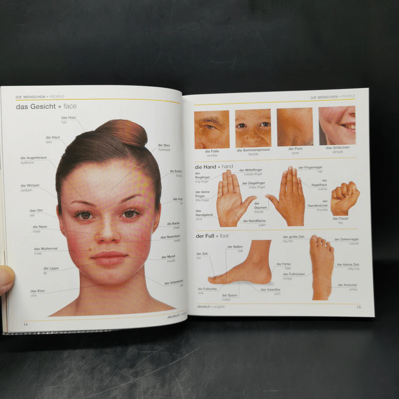 Bilingual Visual Dictionary German English รูปที่ 12